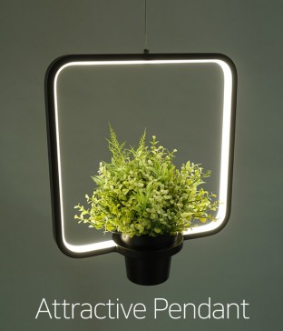 LED 피닉스 30W 펜던트조명,인테리어조명[블랙]