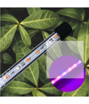 식물재배 바(bar) 등기구